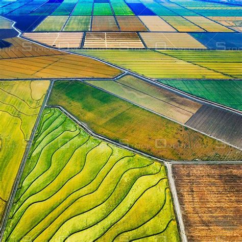 Sacramento Valley Agriculture California | Agriculture photography ...