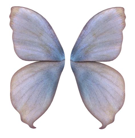 Realistic Fairy Wings Png