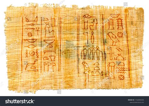 ⛎ Ancient papyrus with Egyptian hieroglyphs :: Behance