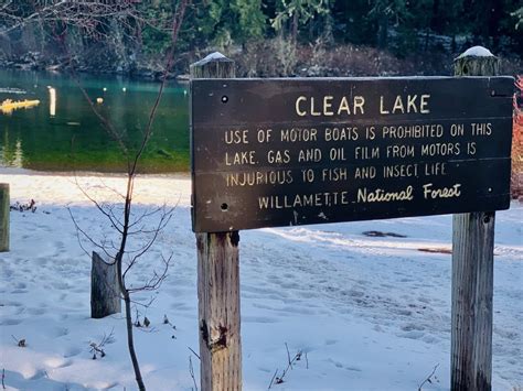 Clear Lake Resort in the Willamette National Forest