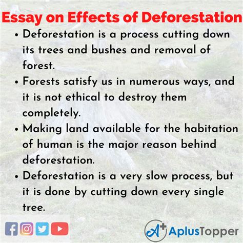 Essay on Effects of Deforestation | Effects of Deforestation Essay for Students and Children in ...