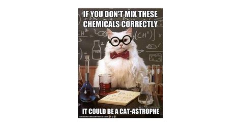 Chemistry Cat | National Cat Day Geek Pictures | POPSUGAR Tech Photo 3