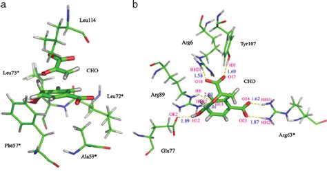 The structure of the TS. Only chorismate and the nearby residues ...