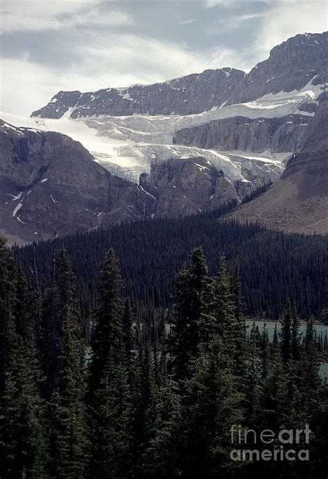 Crowfoot Glacier Photograph by Sharon Elliott - Fine Art America