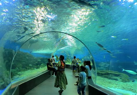 Manila Ocean Park Attractions