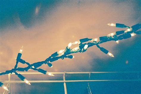 christmas tree lights | Some Christmas tree lights | Flickr