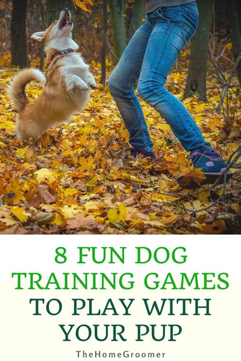 8 Fun Dog Training Games to Play with Your Pup | Glamorous Dogs | Dog training, Easiest dogs to ...