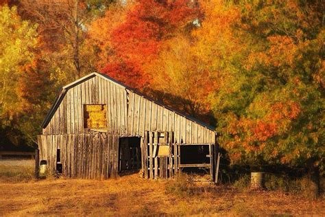 Fall and old barns | Amish barns, Old barns, Country barns