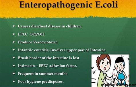 Escherichia coli: Symptoms and Common causes - My Health Only