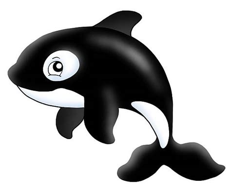 Cartoon Orca Whale Stock Photos, Pictures & Royalty-Free Images - iStock