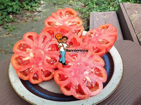 Mushroom Basket Tomato Seeds For Sale At Renaissance Farms