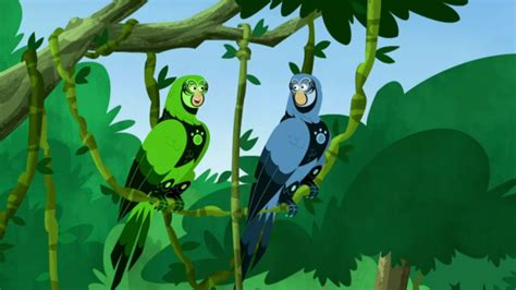 Parrot Power | Wild Kratts Wiki | Fandom | Wild kratts, Cute animals ...