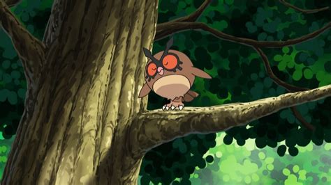 Can Hoothoot be shiny in Pokemon GO? (December 2022)