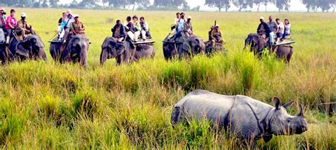 Kaziranga National Park - Assam