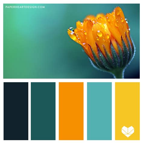 Teal color palette - 67 photo