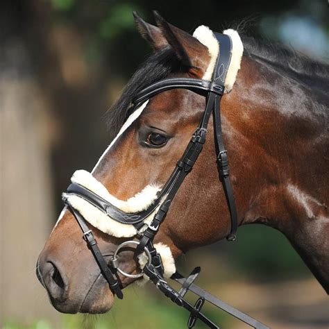 Bridle Ivy with Sheepskin | Horses, Show jumping horses, English horse ...