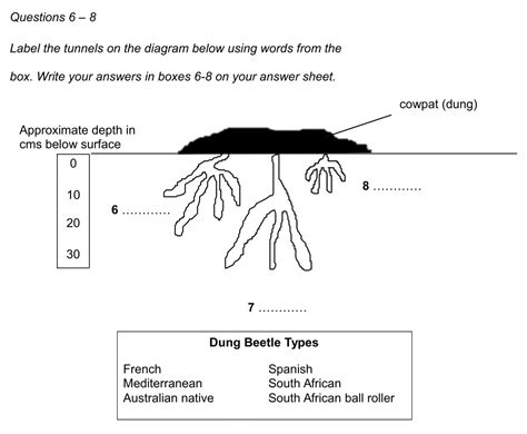 IELTS Reading – Diagram Labelling Questions – IELTS Jacky