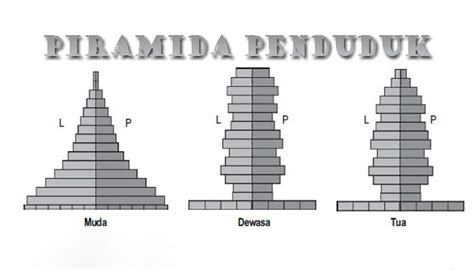 Pengertian Piramida Penduduk : Fungsi, Macam Bentuk dan Cirinya ...