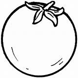 Printable Tomato coloring page  Download Print Or Color Online For Free sketch template