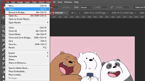 Hướng dẫn 3 cách xóa phông trong photoshop chi tiết