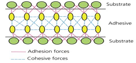 Cohesion Chemistry