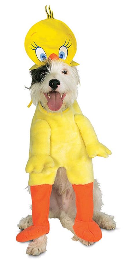 38+ Tweety bird costume diy ideas | 44 Fashion Street