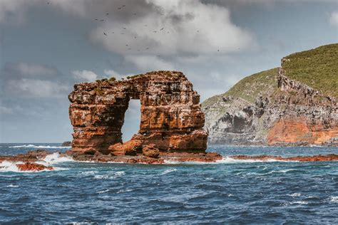 Darwin's Arch off Galapagos falls into Pacific Ocean - Australian ...
