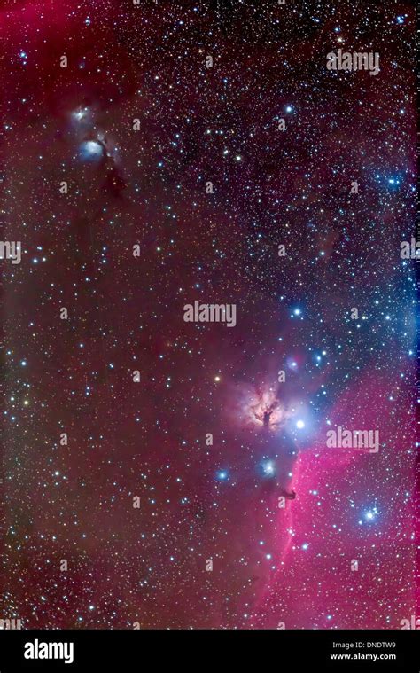 Area around the Belt of Orion, with the Horsehead and Flame Nebula Stock Photo - Alamy