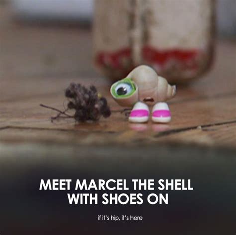 Meet Marcel The Shell With Shoes On. – if it's hip, it's here