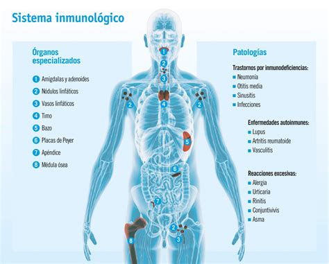 ALTERACIONES DEL SISTEMA INMUNOLÓGICO