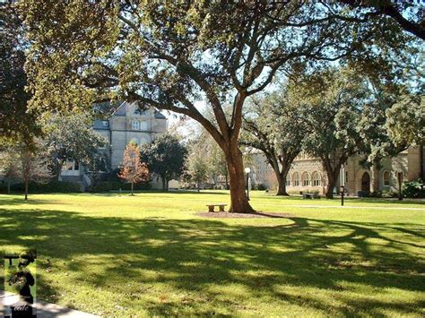 17 Best images about Tulane University Campus on Pinterest | Campus map ...