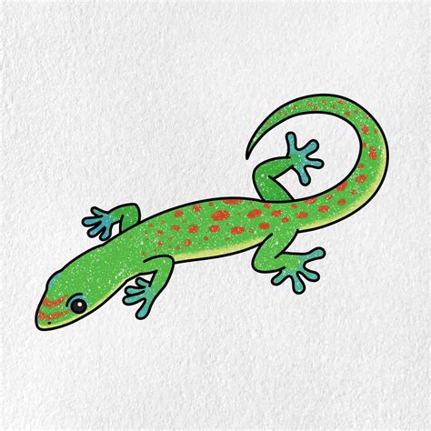 Gecko Drawing Outline