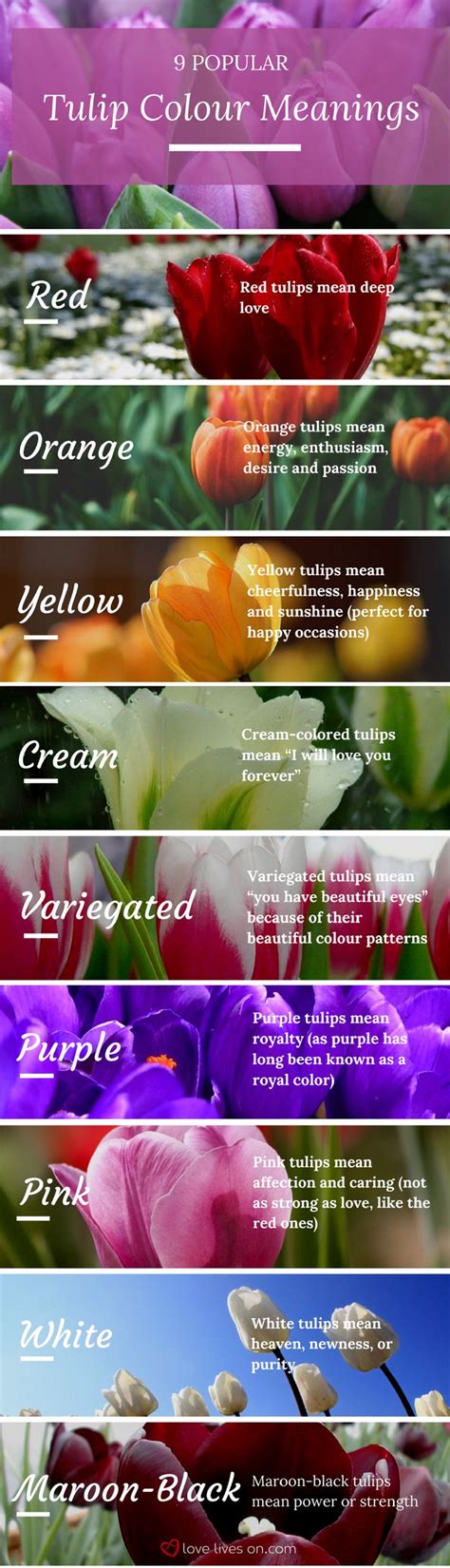 Funeral Flowers and Their Meanings | The Ultimate Guide | Tulip colors ...