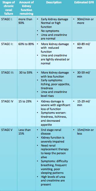 Chronic Kidney Disease Stages