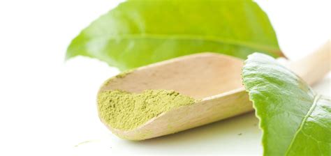 Antioxidants in Cosmetics: Green Tea - Sensient Beauty