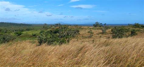 Looking to homestead in FIJI? (homestead forum at permies)