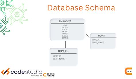 What is database Schema - Coding Ninjas CodeStudio