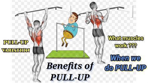 Benefits of Pull Up workout | What muscles work when do Pullup you should know - YouTube