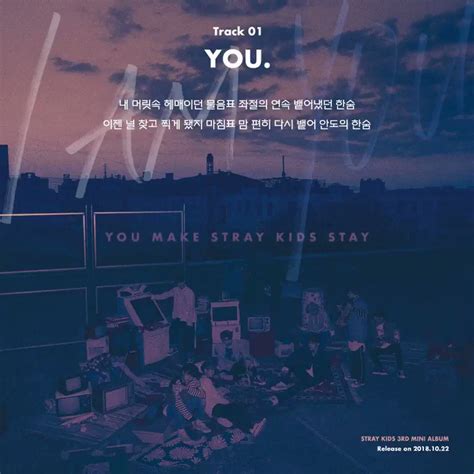 Stray Kids on Twitter: "Stray Kids(스트레이 키즈) Inst. Lyric Card 1 ”YOU.” 2018.10.22 MON #StrayKids ...