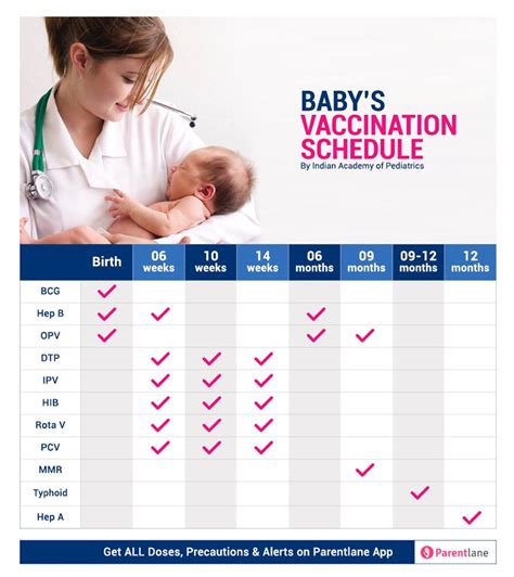 Immunization Schedule Table Baby | Review Home Decor