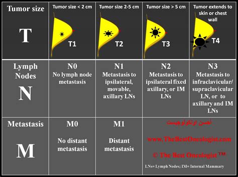 cancer breast staging