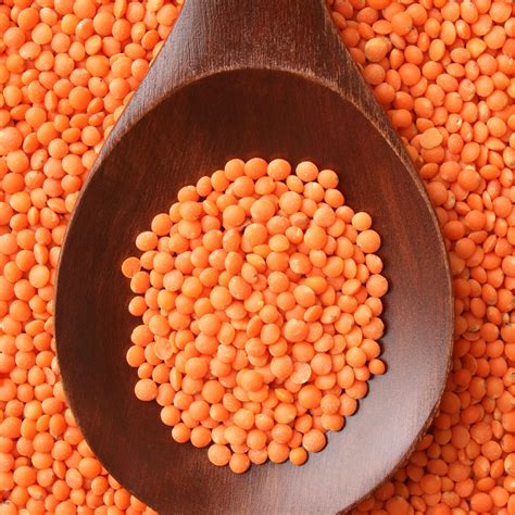 All About Indian Lentils (Daals) and Beans