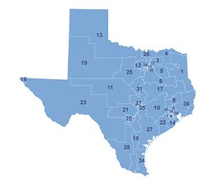 Congressional Map Of Texas - Reena Catriona