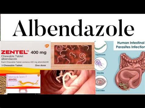 Anthelmintic: Albendazole/ Zentel: Dose, Mechanism, Side effects ...