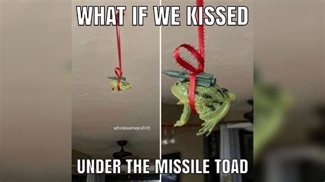 Missile Toad Meme