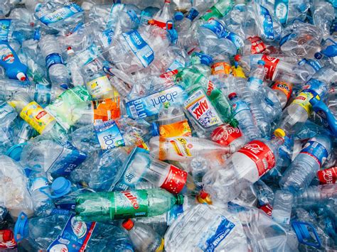 Government considering plastic bottle deposit scheme to increase recycling and reduce litter ...