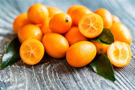 18 Different Types of Citrus Fruits