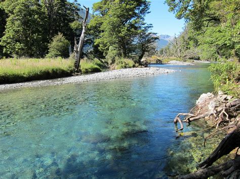 Kiwi Tracks & Guides » Lake Rotoiti Loop