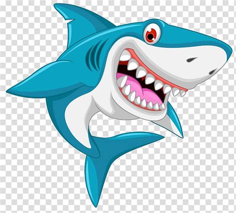 Blue and white shark illustration, Shark Drawing Cartoon , sharks transparent background PNG ...