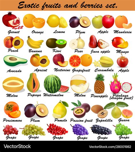 Set exotic fruits and berries Royalty Free Vector Image